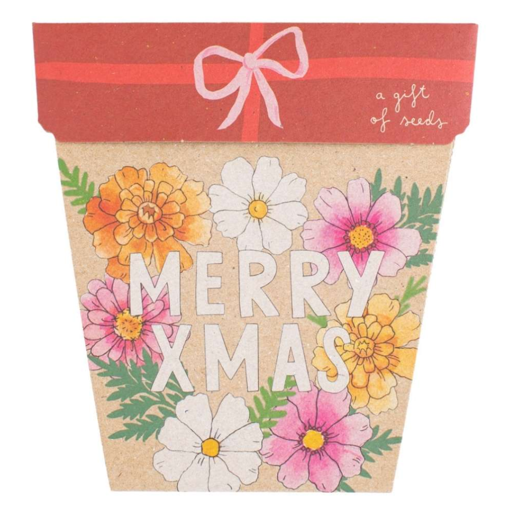 Merry Xmas Gift of Seeds