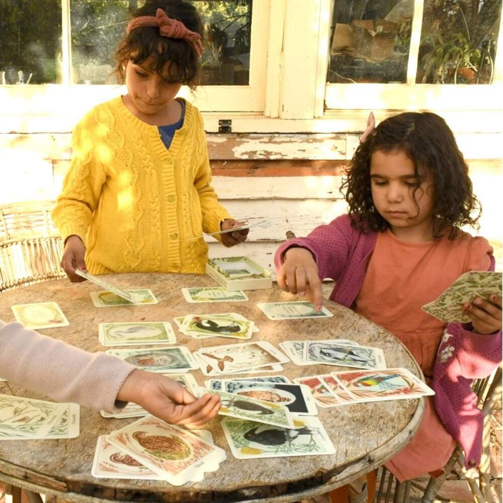 Card Game | Bridget Farmer | I Am a Magpie I Am a Currawong