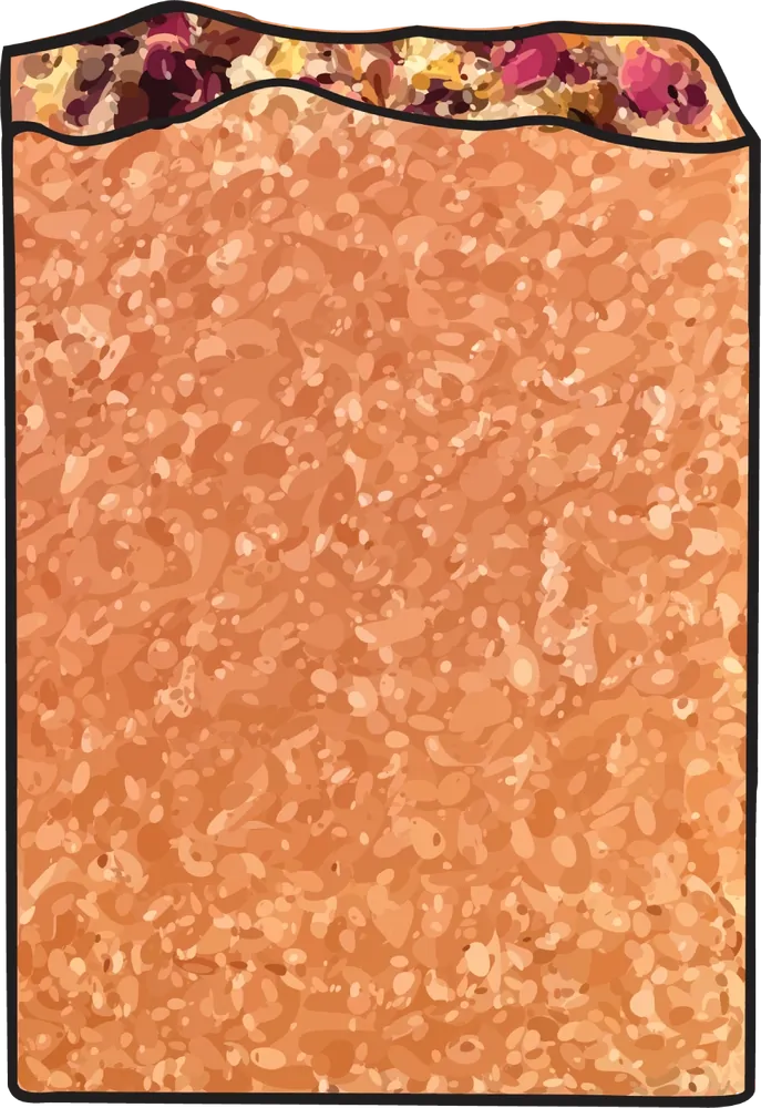 Orange, Bergamot, and Grapefruit Luxury Soap Bar with Pink Salt and Madder Root