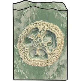 Rosemary and Double Mint Luxury Soap Bar with Loofah