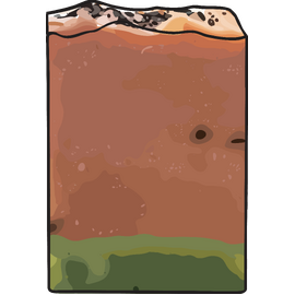 Luxury Soap Bar | Juicy Watermelon | Summer Limited Edition