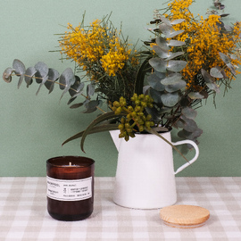 Grapefruit · Lemongrass · Peppermint · Bergamot 260g Aromatherapy Candle [A04]