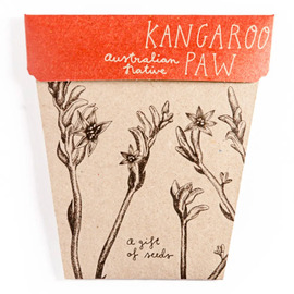 Kangaroo Paw Gift of Seeds