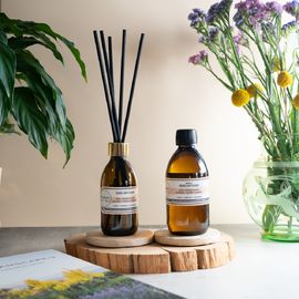 Reed Diffuser | Lime · Elderflower · Coconut · Burnt Caramel
