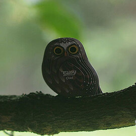 Eugy 044 Owl Cardboard Kit