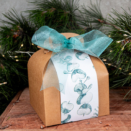 Fahlo Gift Set | Scent Free Critter Soap + Elephant Tracking Bracelet