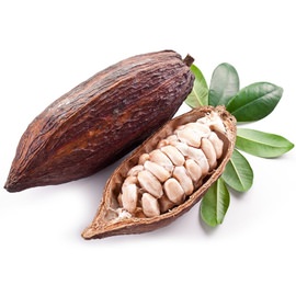 Organic Raw Cacao Butter - 1kg