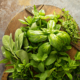 Culinary Herbs Seed Kit