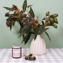 Lavender · Jasmine · Rose · Patchouli Body Butter [01] [Size: 175ml]