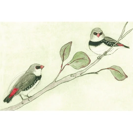 Washi Tape | Bridget Farmer | Diamond Firetails | 30mm