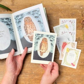 Greeting Card | Bridget Farmer | Southern Boobook