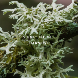 Shibumi Aromatherapy Perfume