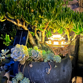 Tiny Treehouse Solar Lights