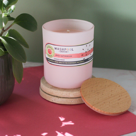 Watermelon Sugar Aromatic Candle [P23]