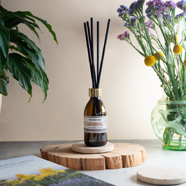Reed Diffuser | Lime · Elderflower · Coconut · Burnt Caramel