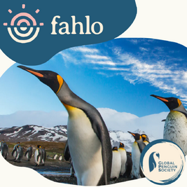 Fahlo Penguin Tracking Bracelet