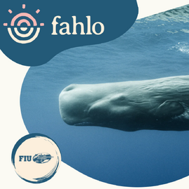 Fahlo Whale Tracking Bracelet