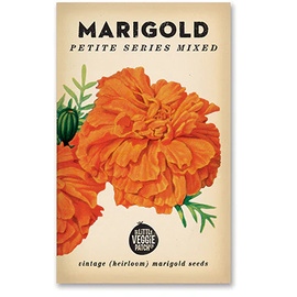 Marigold (Petite Series) Heirloom Seeds