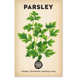 Parsley (Italian) Heirloom Seeds