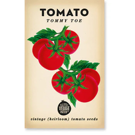 Tomato (Tommy Toe) Heirloom Seeds
