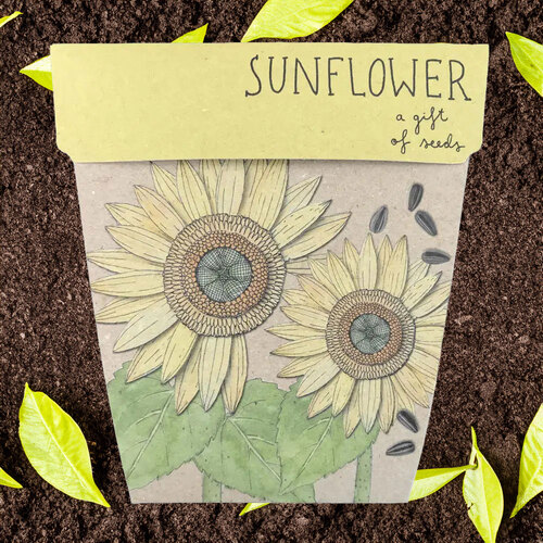 Sunflowers Gift of Seeds