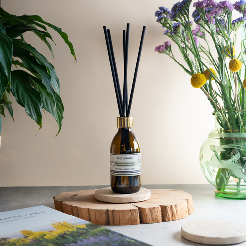 Reed Diffuser | Grapefruit · Lemongrass · Peppermint · Bergamot