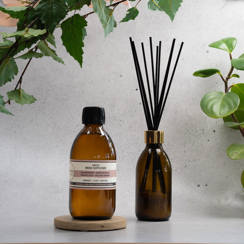 Reed Diffuser Refill | Blackberry · Honeysuckle · Violet Leaf · Golden Amber