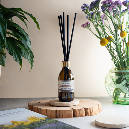 Reed Diffuser | Lime · Elderflower · Coconut · Burnt Caramel