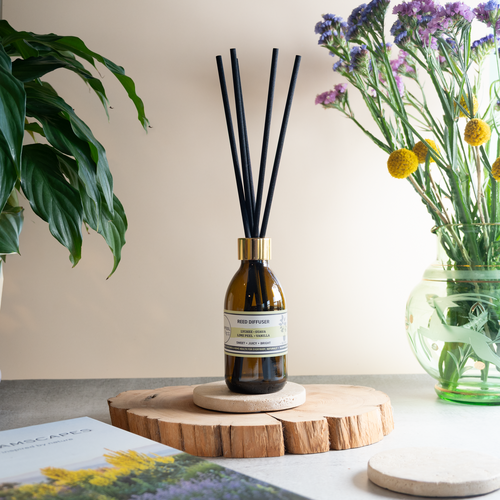 Reed Diffuser | Lychee · Guava · Lime Peel · Vanilla