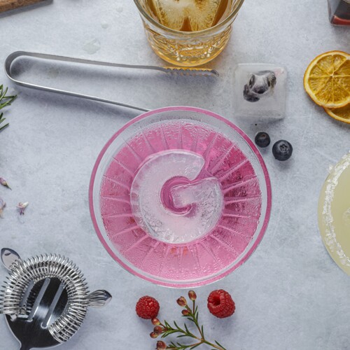 Drinks Plinks Letter G Silicone Ice Tray