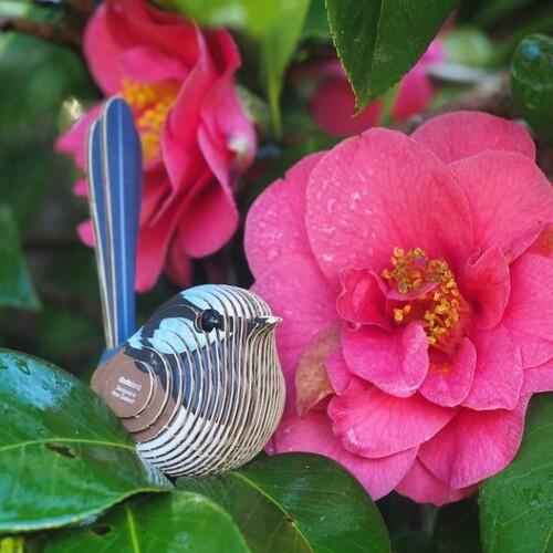 Eugy 025 Fairy Wren Cardboard Kit