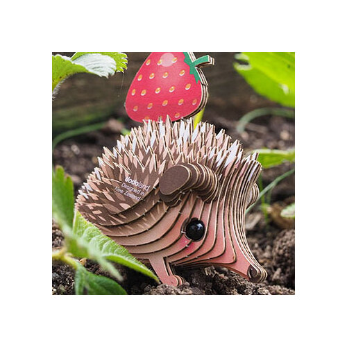 Eugy 026 Hedgehog Cardboard Kit