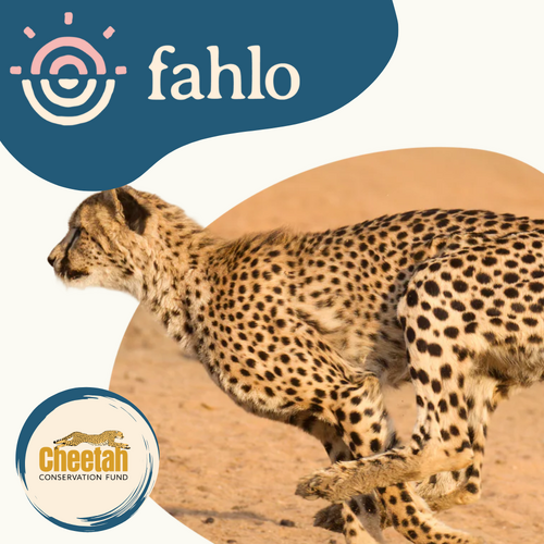 Fahlo Cheetah Tracking Bracelet