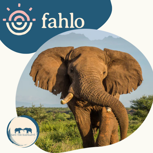 Fahlo Elephant Tracking Bracelet