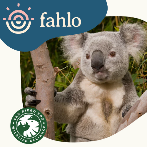 Fahlo Koala Tracking Bracelet