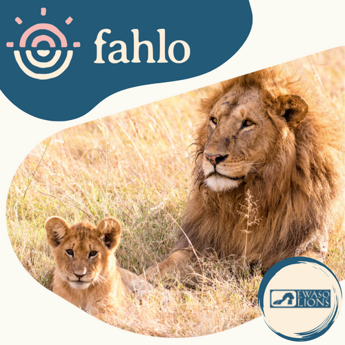 Fahlo Lion Tracking Bracelet