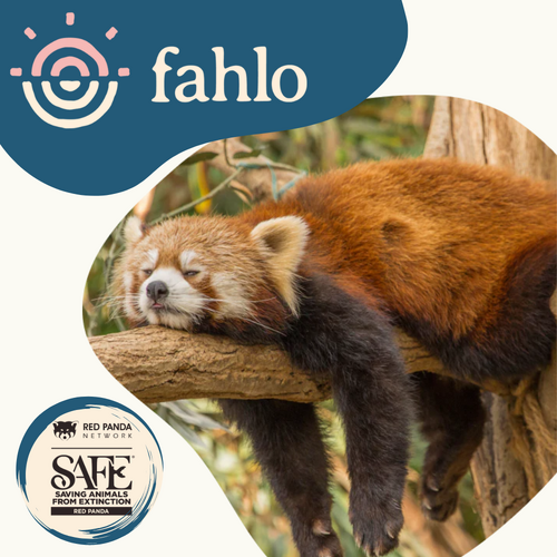 Fahlo Red Panda Tracking Bracelet