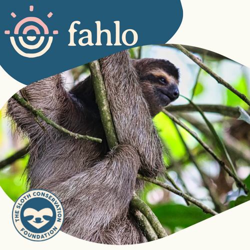 Fahlo Sloth Tracking Bracelet