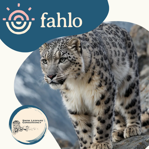 Fahlo Snow Leopard Tracking Bracelet