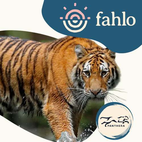 Fahlo Tiger Tracking Bracelet