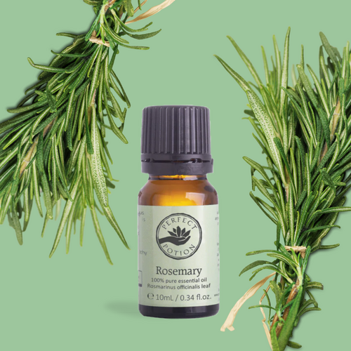 Rosemary Pure Essential Oil Blend 10ml