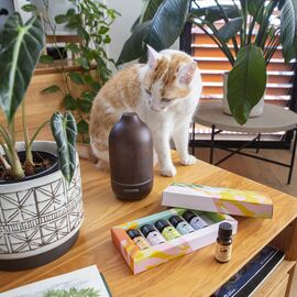 Essential Oil Sets