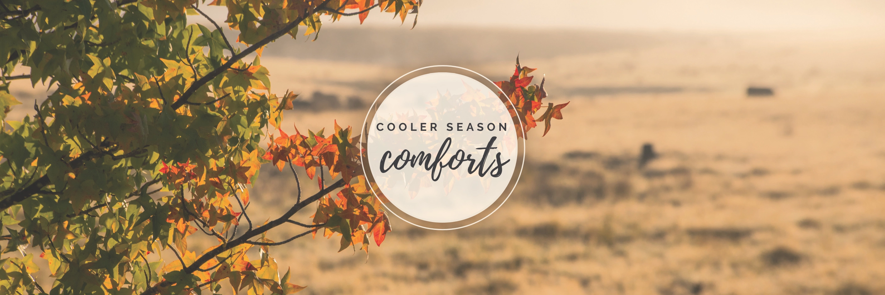 Autumn on the Granite Belt: A Season to Reset and Slow Down